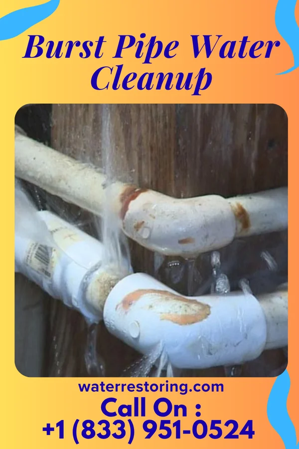 Burst Pipe Water Cleanup in Belle Terre, NY