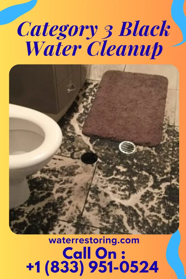Category 3 Black Water Cleanup in Belle Terre, NY