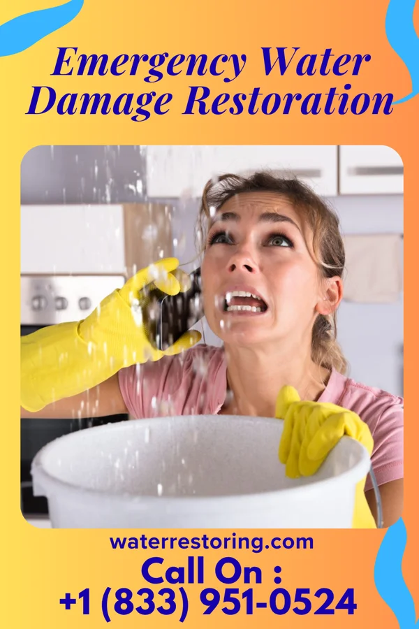 Emergency Water Damage Restoration in Belle Terre, NY