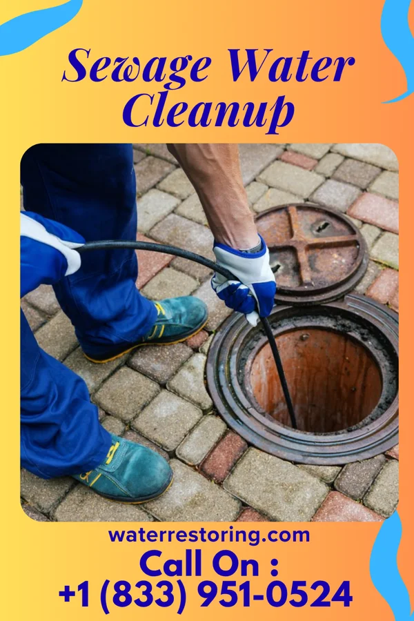 Sewage Water Cleanup in Belle Terre, NY